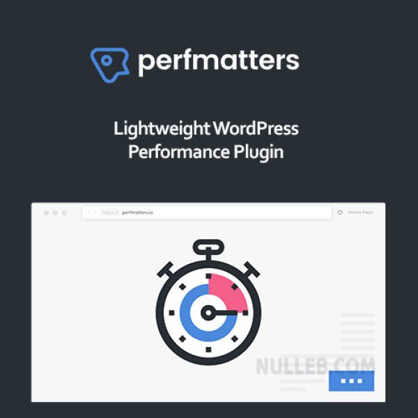 Perfmatters – Accélérateur WordPress